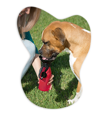 Starlyf Doggy Bottle | Borraccia portatile per cani