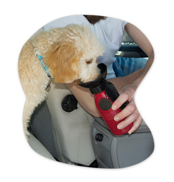 Starlyf Doggy Bottle | Borraccia portatile per cani