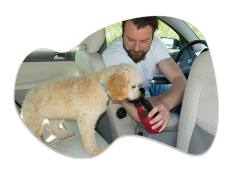 Starlyf Doggy Bottle | Borraccia portatile per cani