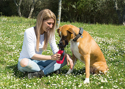 Starlyf Doggy Bottle | Borraccia portatile per cani