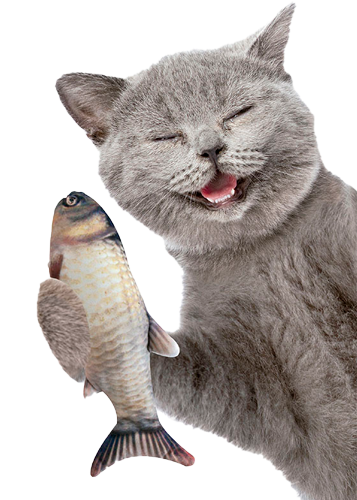 Magic Fish | Giocattolo a forma di pesce per i gatti