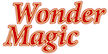 Vigo Logo